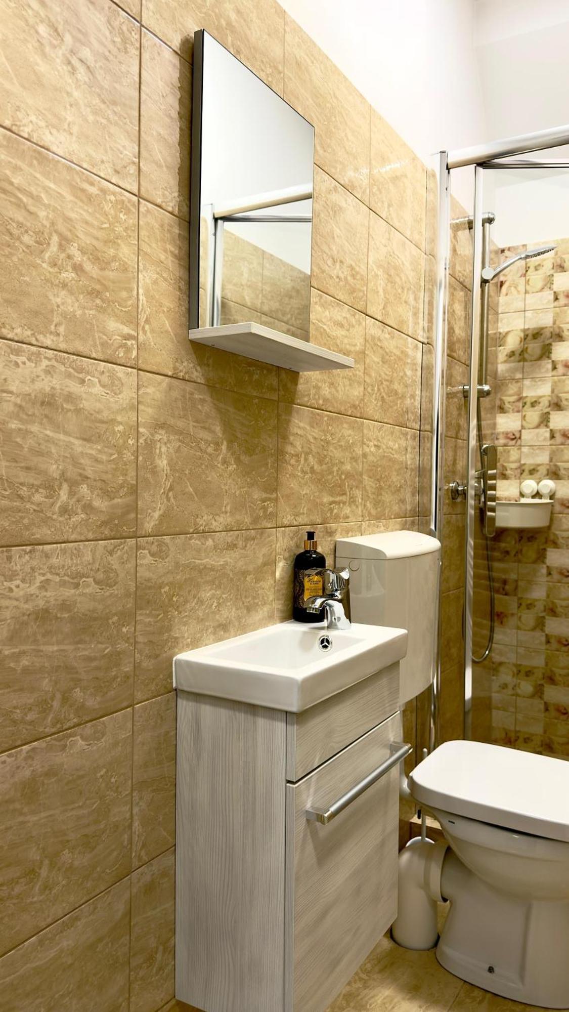 Phoenix Central Apartments סיביו מראה חיצוני תמונה